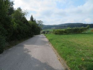 Wienerwald Verbindungsweg 444