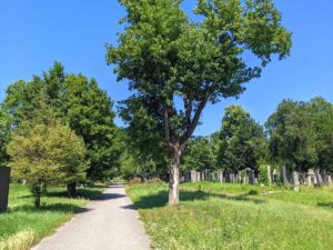 Zentralfriedhof - Alter Jüdischer Friedhof