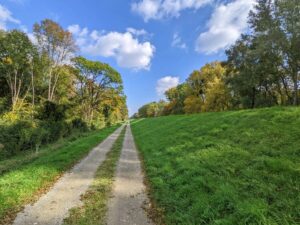 Nationalpark Donau-Auen