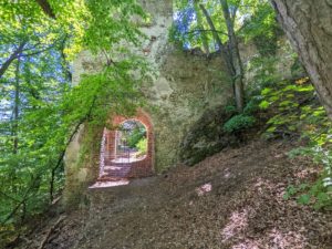 Ruine Rauhenstein