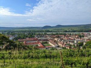 Weinwandern bei Krems an der Donau