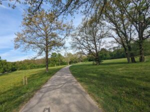 Lainzer Tiergarten