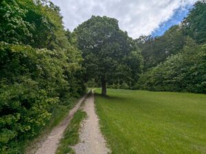 G'schichten aus dem Wienerwald - Alland