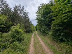 G'schichten aus dem Wienerwald - Alland