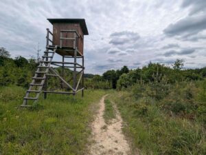 G'schichten aus dem Wienerwald - Alland