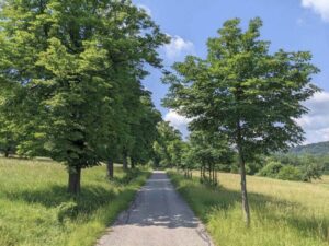 Lainzer Tiergarten