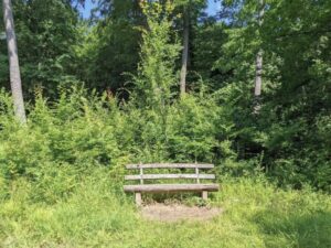 Lainzer Tiergarten