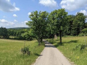 Lainzer Tiergarten