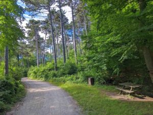 Naturpark Föhrenberge