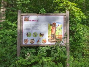 Naturpark Föhrenberge