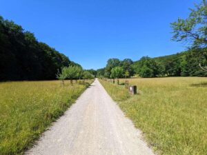 Naturpark Föhrenberge