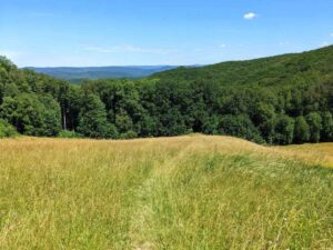 Naturpark Föhrenberge