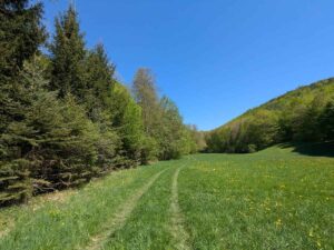Gemeinderunde Wienerwald