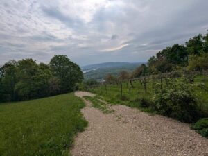 Riedenwanderweg