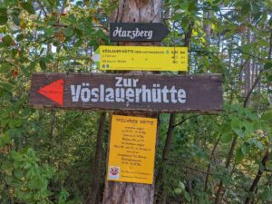 Waldweg zur Vöslauerhütte
