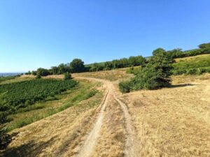 Beethoven Spazierweg