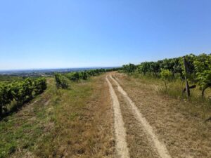Beethoven Spazierweg