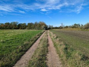 Rundweg Zicksee