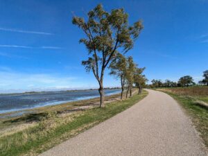 Rundweg Zicksee