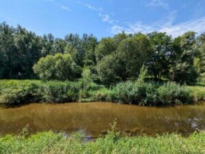 Rundweg Grafenegg - Kamp