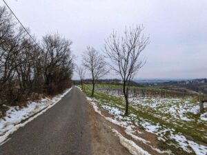 Nussberg - Stadtwanderweg 1