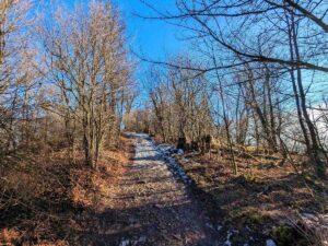 Hermannskogel - Stadtwanderweg 2