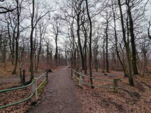 Jubiläumswarte - Stadtwanderweg 4