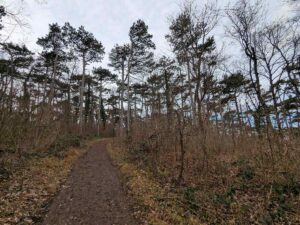 Zugberg und Maurer Wald - Stadtwanderweg 6