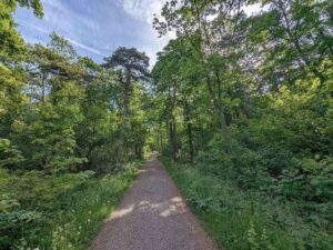 Hinterbrühler Rundweg