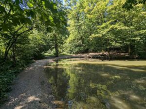 Minichlacke im Maurer Wald