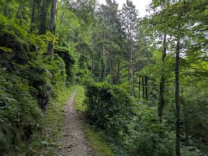 Schmiedemeile