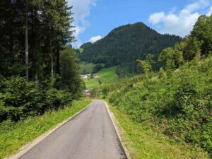 Schmiedemeile