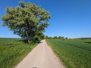 Erzherzog Johann Rundwanderweg