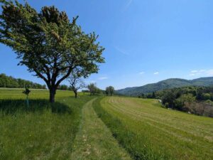 Erzherzog Johann Rundwanderweg