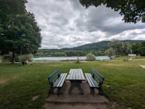 Donausteig - Pleschinger See