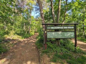 Wandern in Bad Vöslau