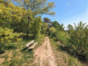 Wandern in Bad Vöslau