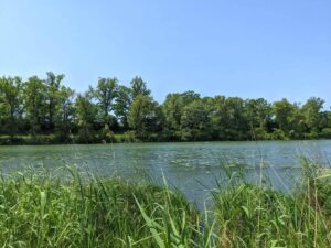 Lobau - Panozzalacke