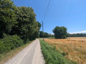 Lobau