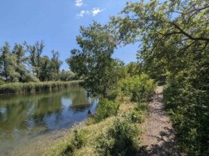 Mühlwasser