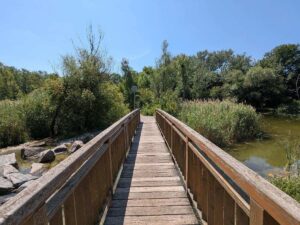 Lobau