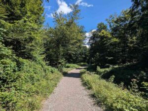 Waldweg zur Hermesvilla