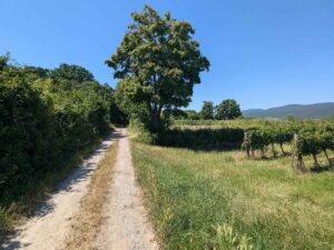 Grossau Runde