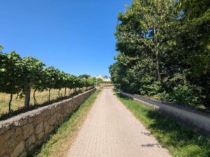 Grossau Runde