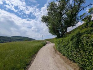 Via Sacra Rundwanderweg Alland
