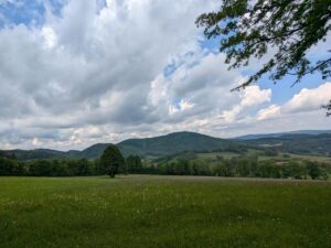 Via Sacra Rundwanderweg Alland