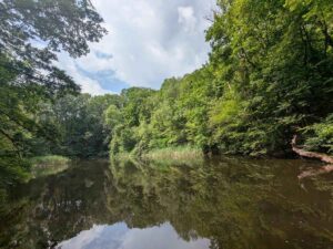 Silbersee - Stadtwanderweg 4