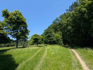 Kreuzeichenwiese - Stadtwanderweg 4a