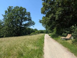 Pappelteichwiese
