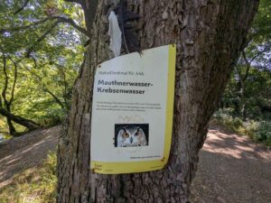 Mauthnerwasser und Krebsenwasser